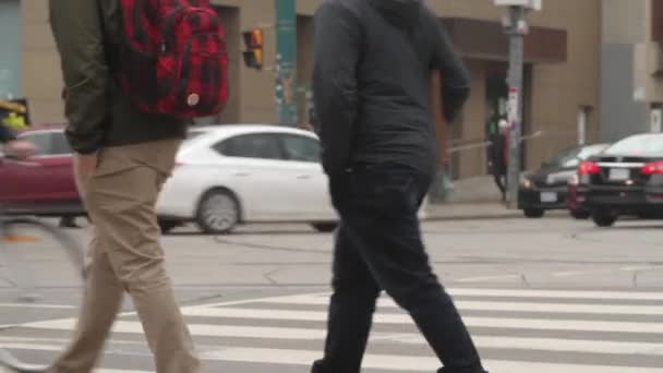 Pedestrians Walking Waiting Intersection — Wideo stockowe