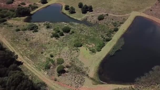 Een Schilderachtige Vlucht Forel Dammen Een Boerderij Zuid Afrika — Stockvideo