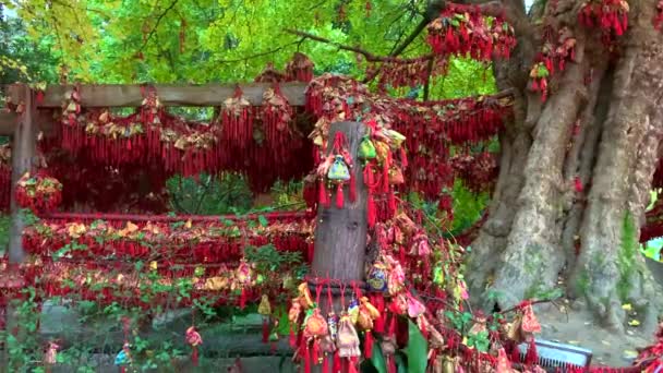 Ağaçta Asılı Küçük Renkli Bir Çin Tarzı Çanta — Stok video