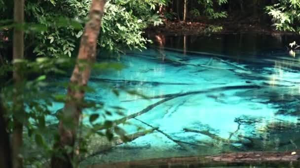 Beauty Asian Nature Blue Pool Krabi Crystal Clear Blue Water — 图库视频影像