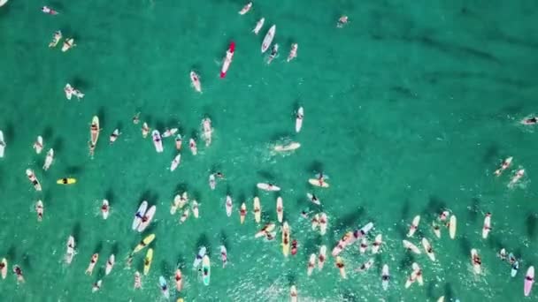 Cool Overhead Zoom Shot Group Paddle Boarders Paddling Out Atlantic — Stockvideo