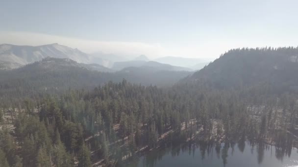 Aerial Drone Shot Lake Forest Yosemite National Park — Stock Video
