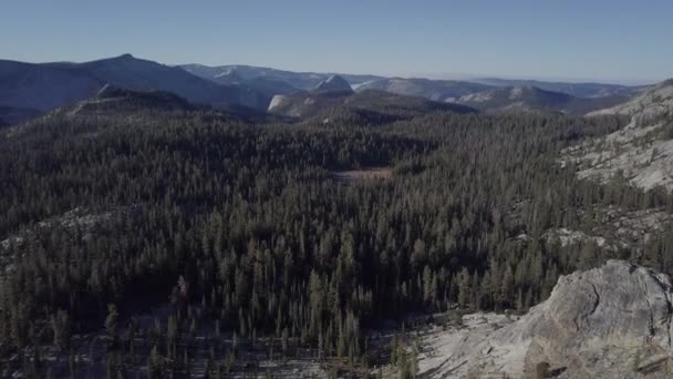 Aerial Drone Shot Forest Yosemite National Park — стоковое видео