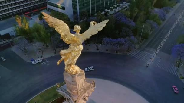 Aereal Shot Angel Independence Mexico City — ストック動画