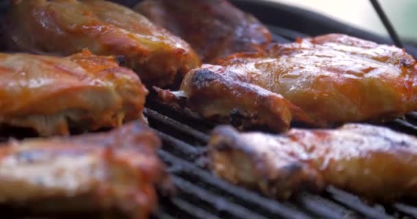 Lemon Seasoned Chicken Cooks Grill Backyard — ストック動画