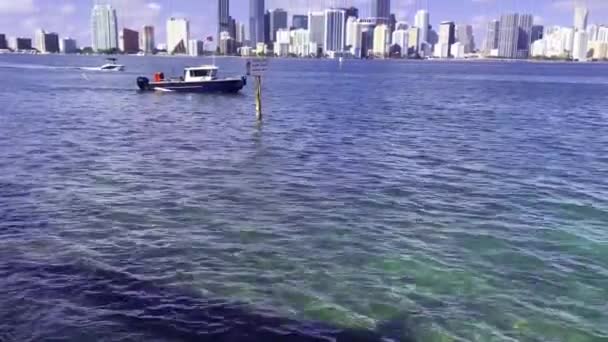 Miami Biscayne Körfezi Manzarası — Stok video