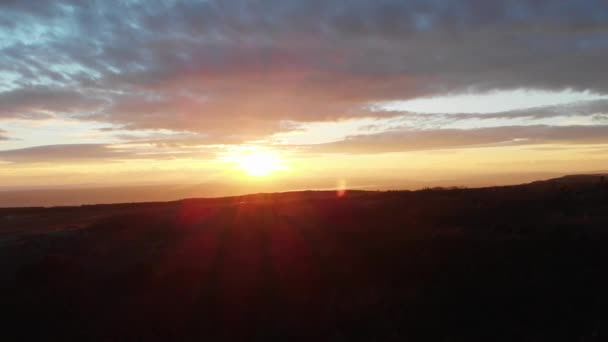 Aerial View Sunset Conuferous Forest — Vídeo de Stock