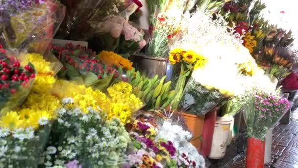 Φωτογραφίες Από Πολύχρωμα Λουλούδια Που Εκτίθενται Προς Πώληση Κατά Μήκος — Αρχείο Βίντεο