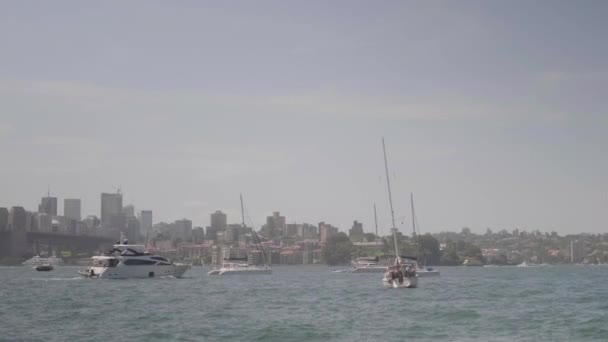 Slow Motion Boat Sunny Day Sydney Bay — 图库视频影像