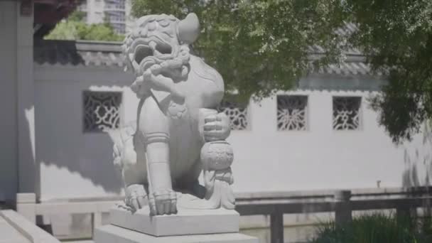 Традиционная Китайская Статуя Дракона Китайском Саду Летний День Сиднее — стоковое видео