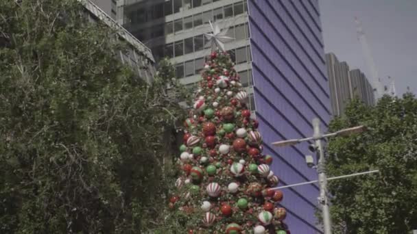 Ευρεία Φωτογραφία Ενός Γιγάντιου Χριστουγεννιάτικου Δέντρου Στο Martin Place Sydney — Αρχείο Βίντεο