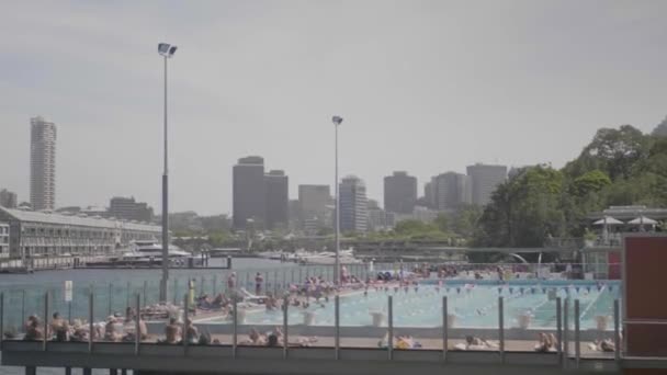 Широкий Снимок Общественного Бассейна Большим Количеством Людей Плавающих Солнечный Летний — стоковое видео