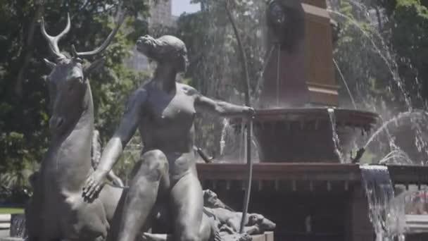 Closeup Statue Fountain Sunny Summer Day Public Space Sydney Australia — Vídeo de stock