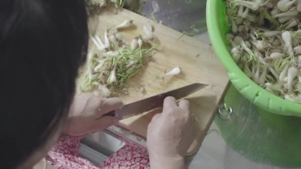 Pickled Small Leeks Tet Holiday 2019 — Video Stock