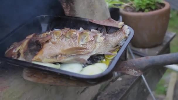 Closeup Fish Cooked Outdoor Stone Oven — Vídeo de Stock