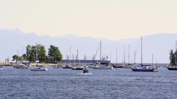 Summer Day Nanaimo Harbor Front Boats Taking Ride West Coast — Stock video