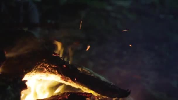 Closeup Firewood Burning Night Beach Slow Motion — Stockvideo