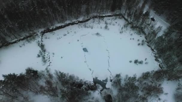 Drone Footage Frozen Lake Sweden — Vídeos de Stock