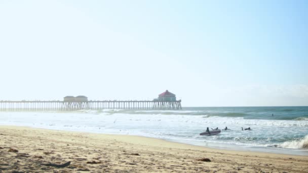 Family Goes Surfing Beach Hazy Sunrise Huntington Beach Pier Background — Video