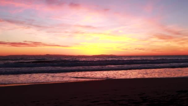 Seagulls Fly Beach Gorgeous Yellow Orange Pink Blue Sunset Huntington — Vídeos de Stock