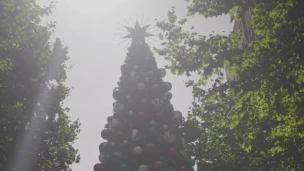 Giant Christmas Tree Sunshine Sydney — Wideo stockowe