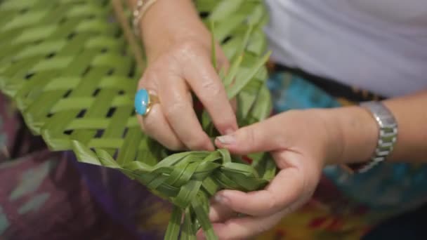 Closeup Woman Weaving Plant Traditional Maori Way New Zealand — Stockvideo