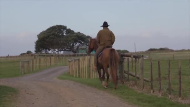 Shot Horse Rider Rural Path Back Slow Motion — Wideo stockowe