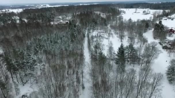 Летающие Беспилотники Над Замерзшими Лесами Швеции — стоковое видео
