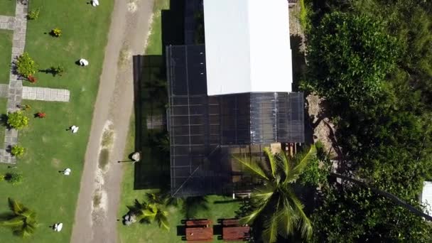 Aerial Rising Shot Local Home Beach Bvi Island Tortola — Vídeos de Stock
