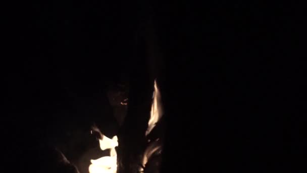 Ζεστή Φωτιά Στρατόπεδο Κάρβουνα Και Φλόγες Κάποια Φυσική Κάμερα Κούνημα — Αρχείο Βίντεο
