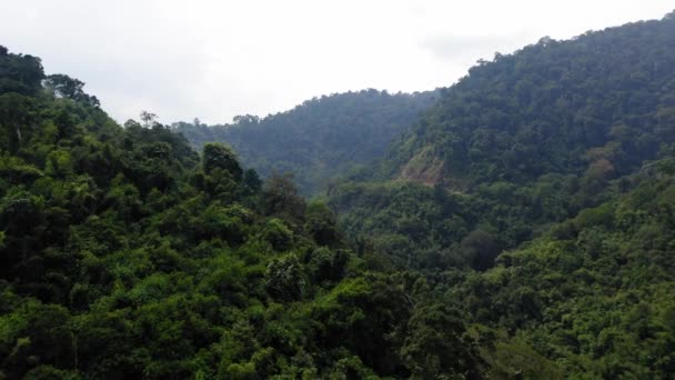 Drone Footage Tropical Jungle Khao Sok Thailand — 图库视频影像