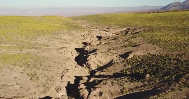 Aerial Canyon Atacama Desert — 비디오