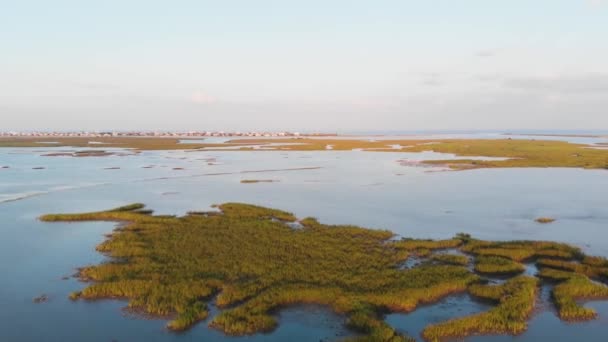 Flying Garden City Beach Sunset Woodland Creek — 图库视频影像