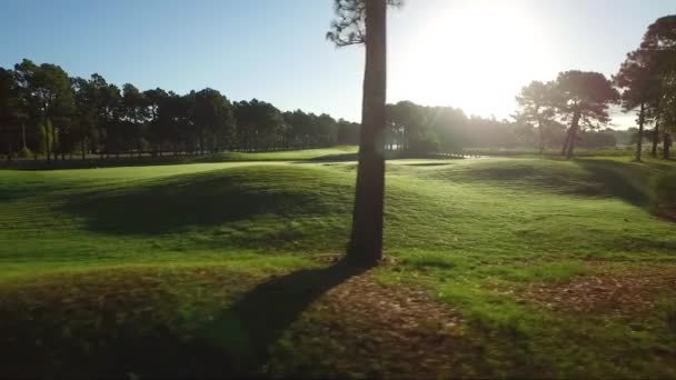 Drone Flying Low Ground Sideways Golf Course Early Morning — 비디오