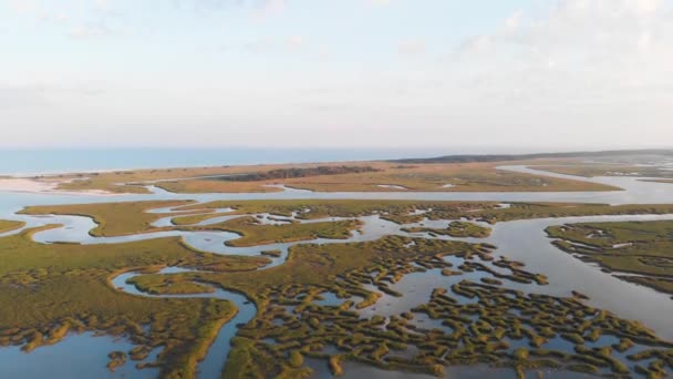 Sunset Flight Wetlands Murrells Inlet Away Beach — Vídeos de Stock