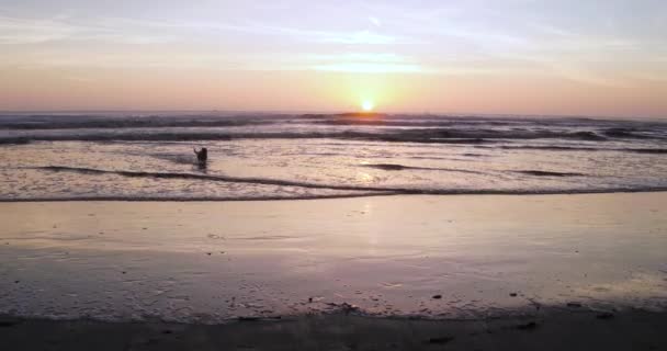 Woman Enjoys Playing Catch Her Dog Beautiful Beach Sunset — Stockvideo