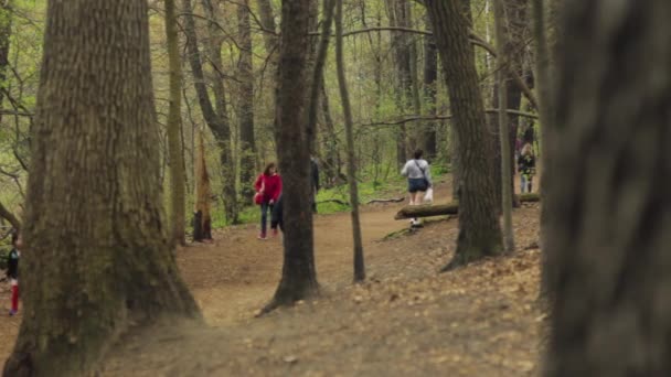People Walking Hiking Trail — стоковое видео