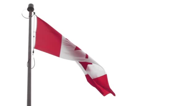 Close Canadian Flag Blowing Wind — Stock Video