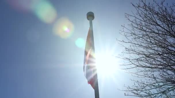 Canadian Flag Blowing Breeze Sun — Video Stock