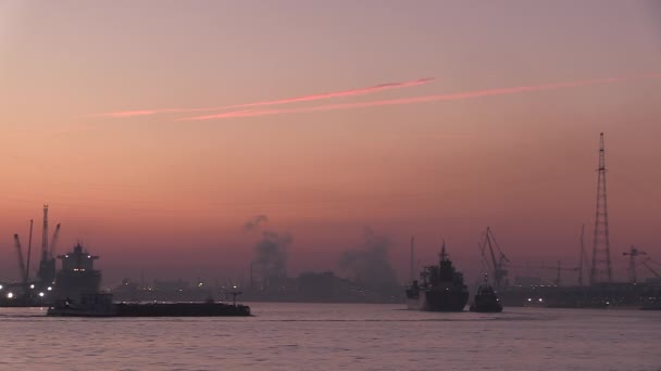 Cargo Ships Coming Dawn Port Antwerp Its Industry — Stockvideo