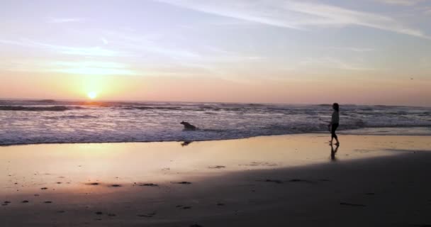 Woman Plays Fetch Her Dog Beach Sunset Her Dog Chases — Stockvideo