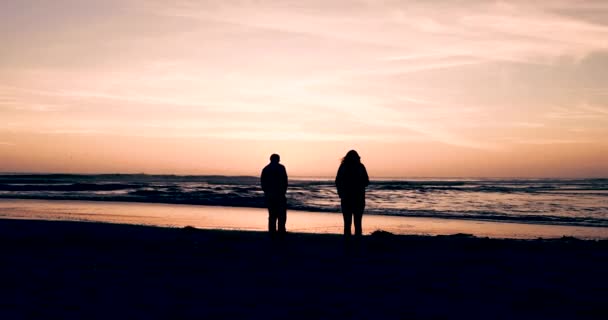 Couple Enjoys Vacation Resort Sun Sets Dog Plays Water Ocean — Vídeos de Stock