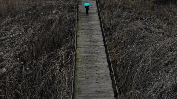 Drone View Female Blue Umbrella Walking Wooden Bridge Cold Weather — Video Stock