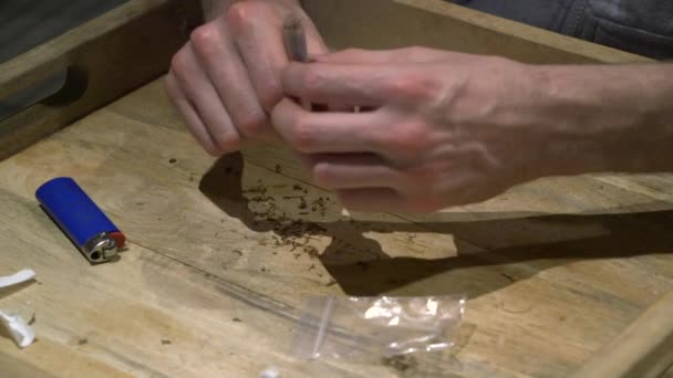 Man Brings Final Touch His Finished Joint Ready Smoke — Stok video