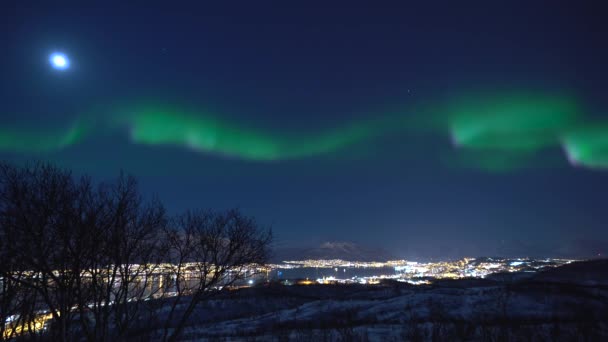 Northern Lights Flowing Sky Moonlit Night Cityscape Moving Ships Fjord — Vídeo de Stock