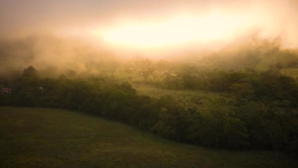 Beautiful Fog Tropical Rainforest Sunset — Vídeos de Stock