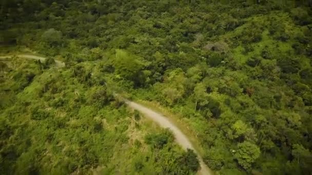Mooie Kronkelende Weg Door Een Dicht Regenwoud — Stockvideo