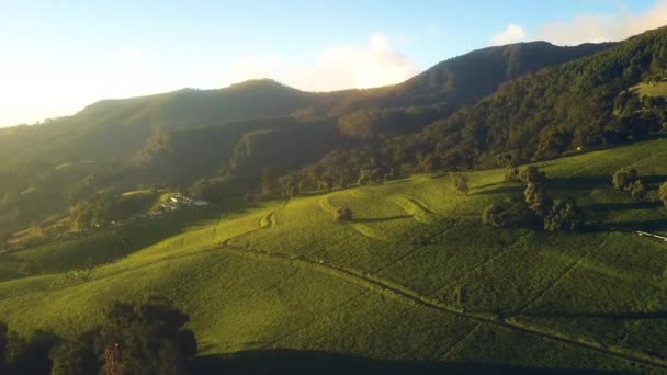 Cinematic Aerial View Beautiful Lush Tropical Countryside — Stok video