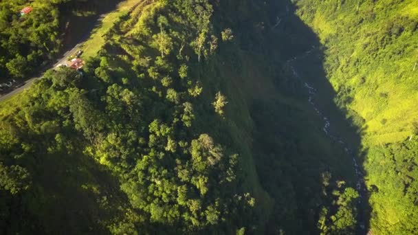 Aerial View Flowing Creek Lush Tropical River Valley — Video Stock