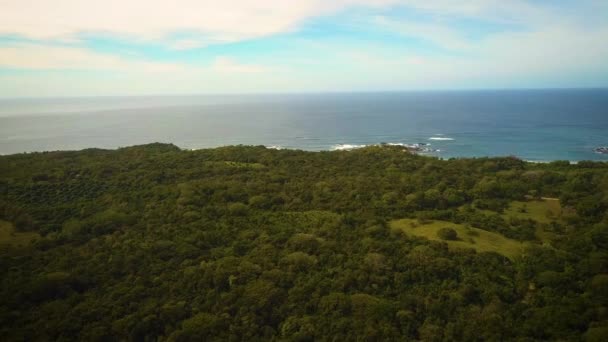 Aerial View Lush Green Rainforest Vast Ocean — Vídeo de stock